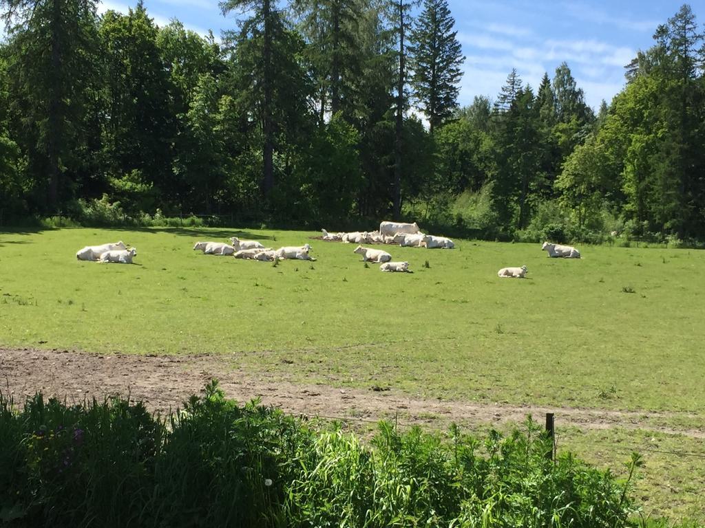 Villa Tuomiranta Sannäs エクステリア 写真